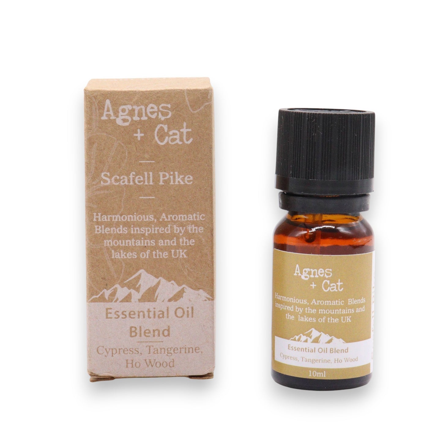 🌿 Forest Retreat Coffret de 3 mélanges d'huiles essentielles de qualité supérieure 🧘♀️ Citron, arbre à thé et menthe poivrée - Eucalyptus, Ravensara et menthe des champs - Cyprès, mandarine et bois de Hô