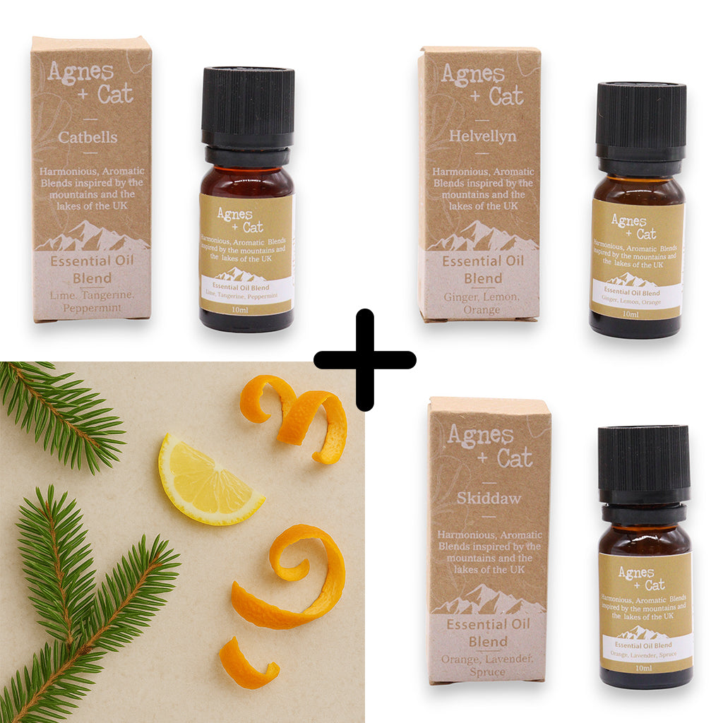 Agnes & Cat - Citrus Uplift Set Of 3 Premium Essential Oil Blends