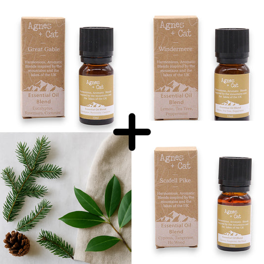 Agnes & Cat - Forest Retreat Set Of 3 Premium Essential Oil Blends